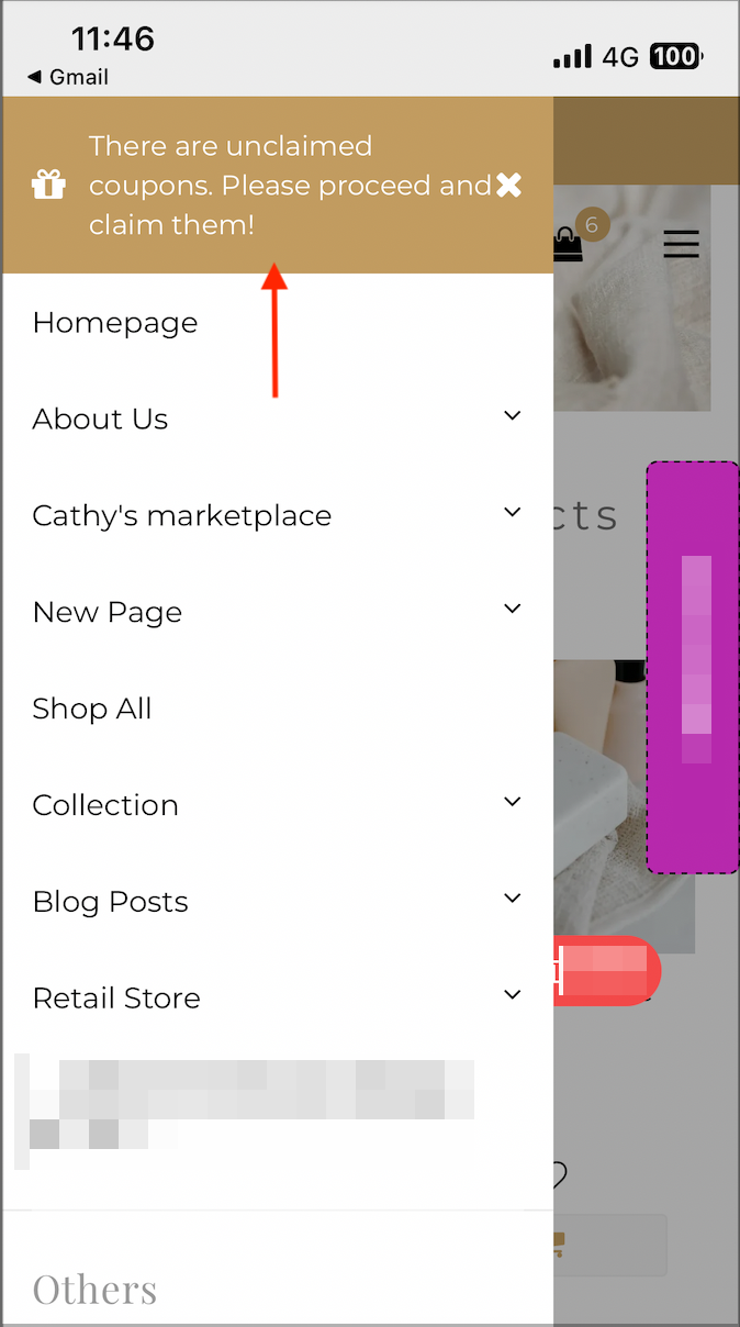 Screenshot 2024-01-10 at 11.50.00 AM.png