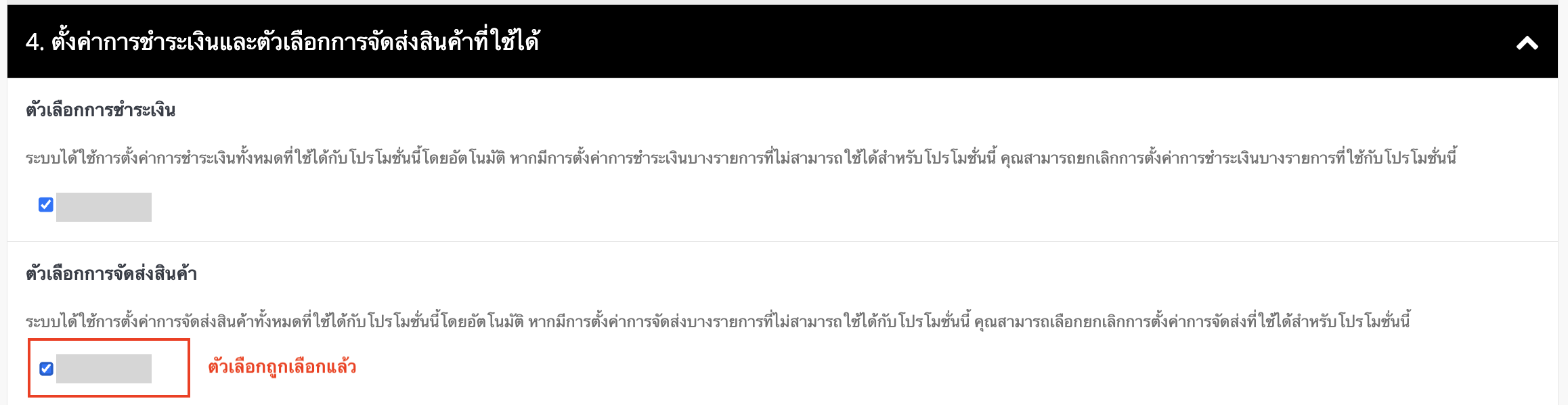 ตัวเลือกการจัดส่งในหน้าการตั้งค่าโปรโมชัน.png