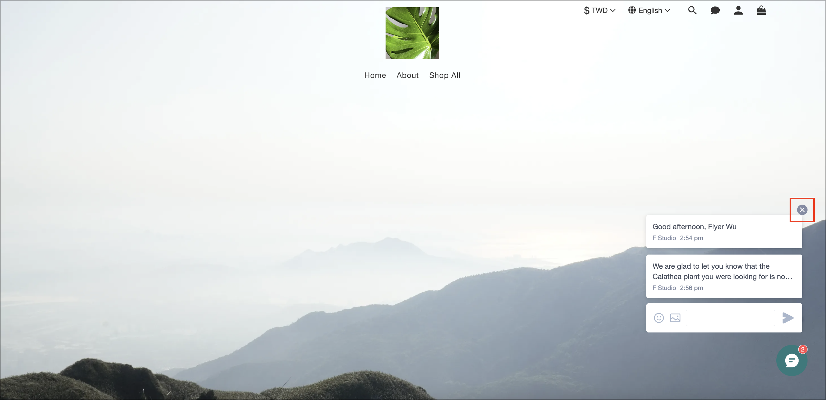 Screen Shot 2024-06-12 at 2.57.01 PM.png
