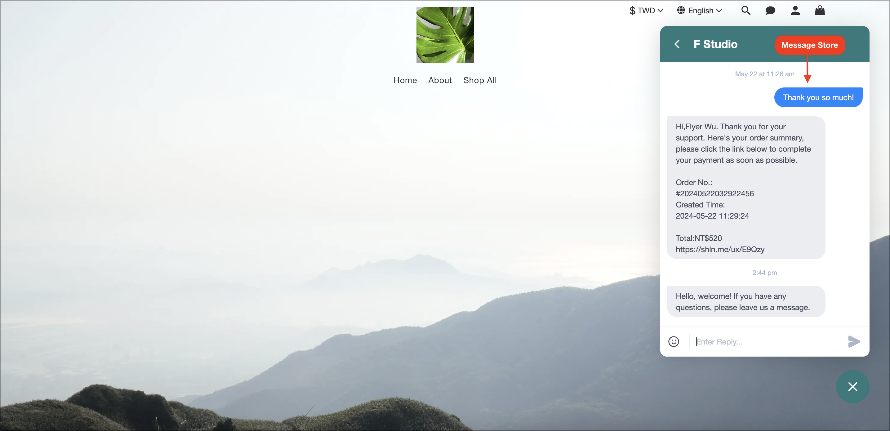 Screen Shot 2024-06-12 at 2.46.46 PM copy 2.png