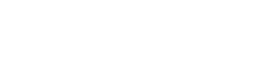 Visa_Brandmark_White_RGB.png