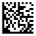image6.png