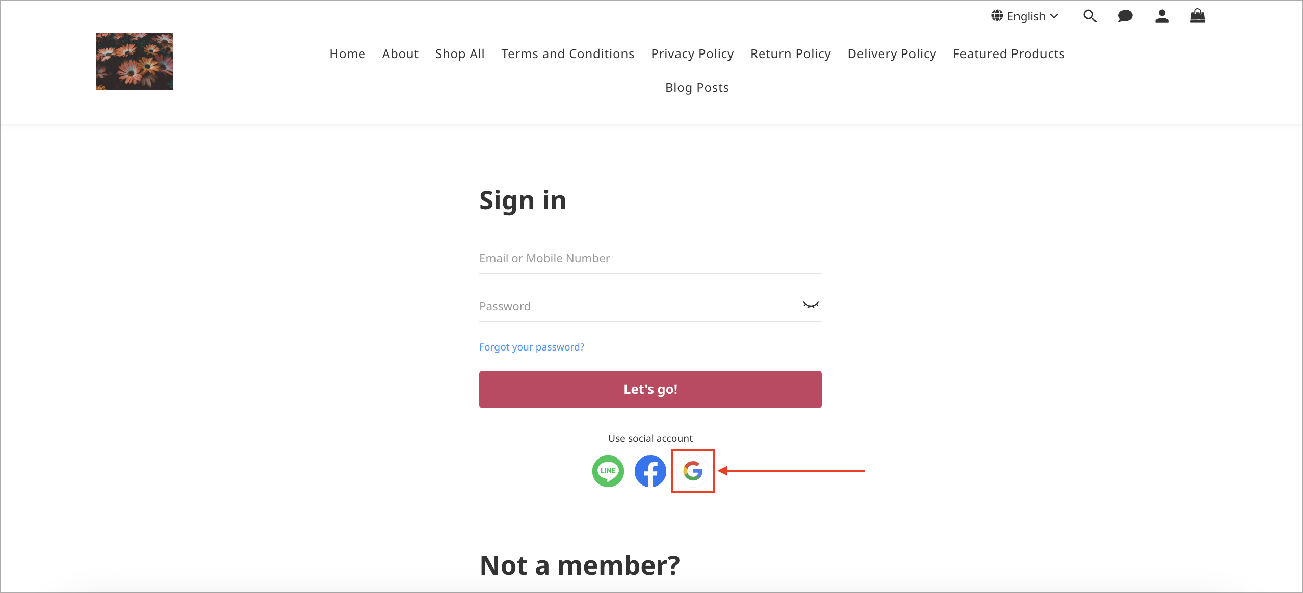 Screenshot 2024-12-19 at 4.49.14 PM.png