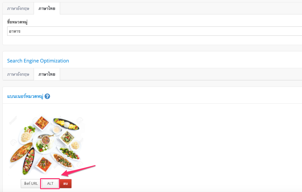 screenshot-Image_alt_tag-9.png