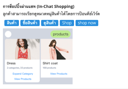 screenshot-inchat_shopping-12.png