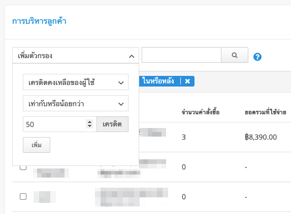 screenshot-View_and_export_customer_info-5.png