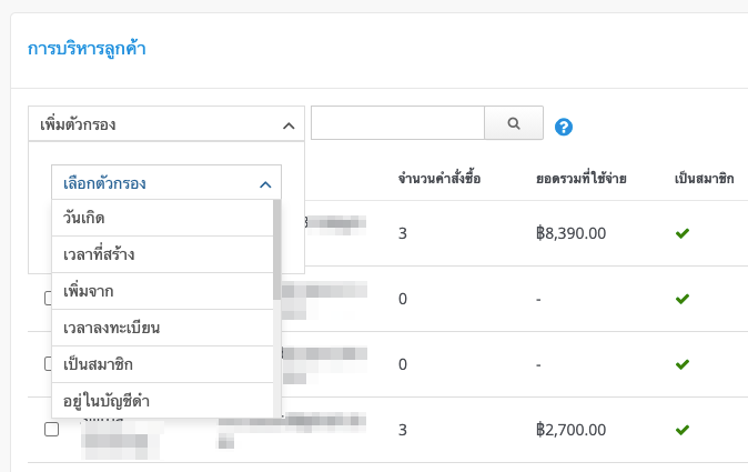 screenshot-View_and_export_customer_info-3.png