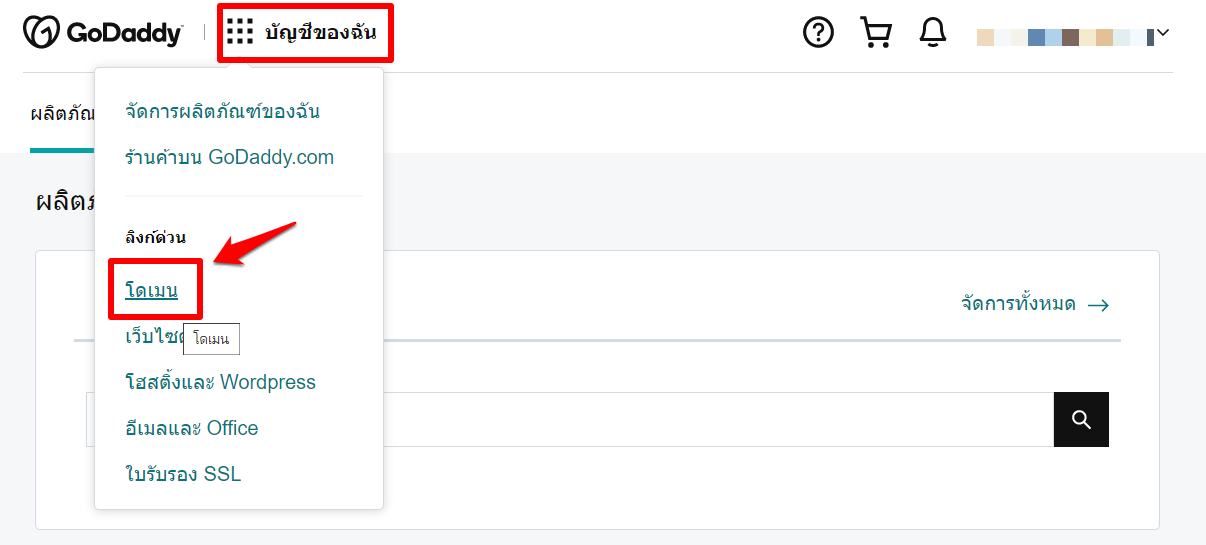 FAQ_TH_Link_a_Domain_Hosted_on_GoDaddy__New_Edition_-2.png