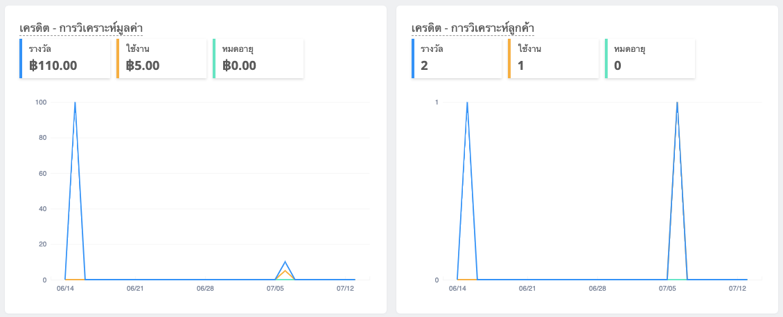 SalePromotion-Shoplytics-3.png