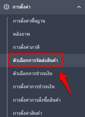 TH_FAQ_Step_2_Setting_Delivery_Options-1.png