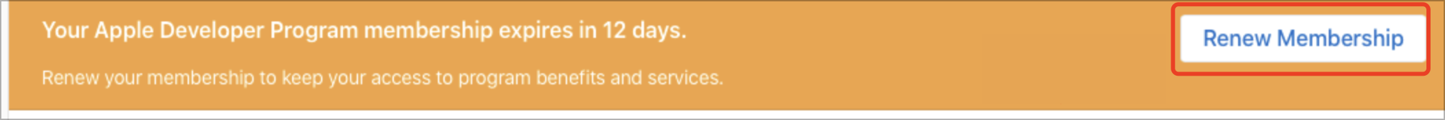 image copy.png