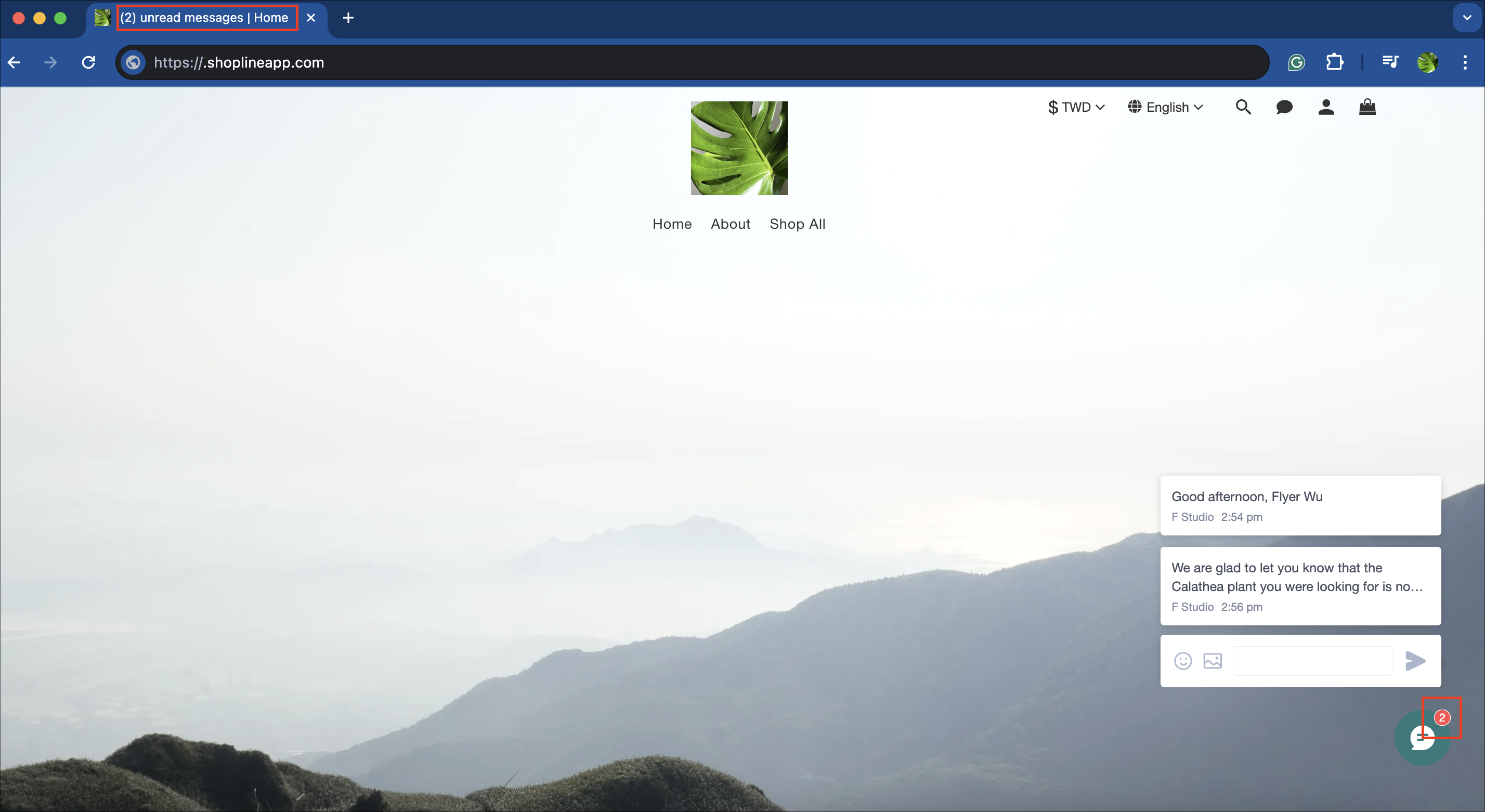 Screen Shot 2024-06-12 at 2.58.33 PM.png