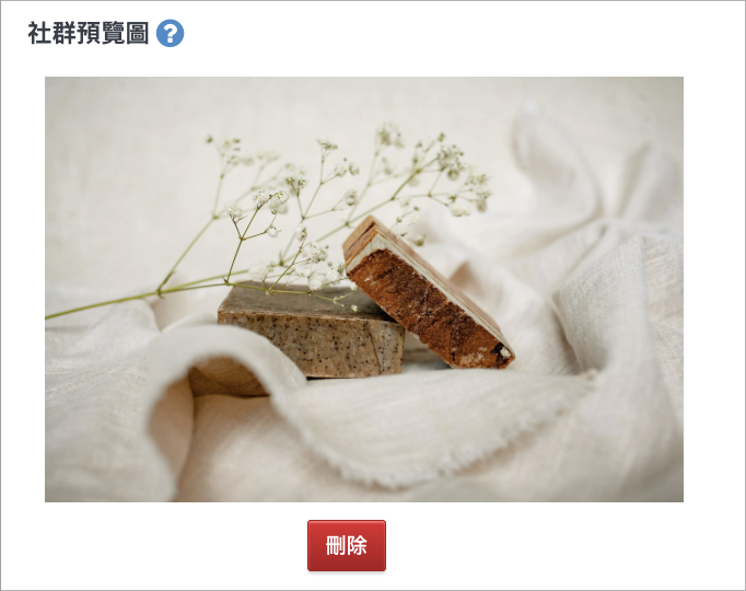 社群預覽圖上傳後範例，顯示商品照片與刪除按鈕