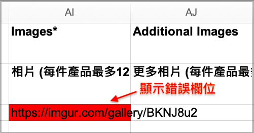 Failure report listing failed product names and corresponding error fields
