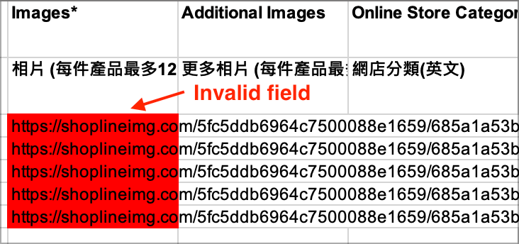 Example of error or invalid fields highlighted in red in the failure report