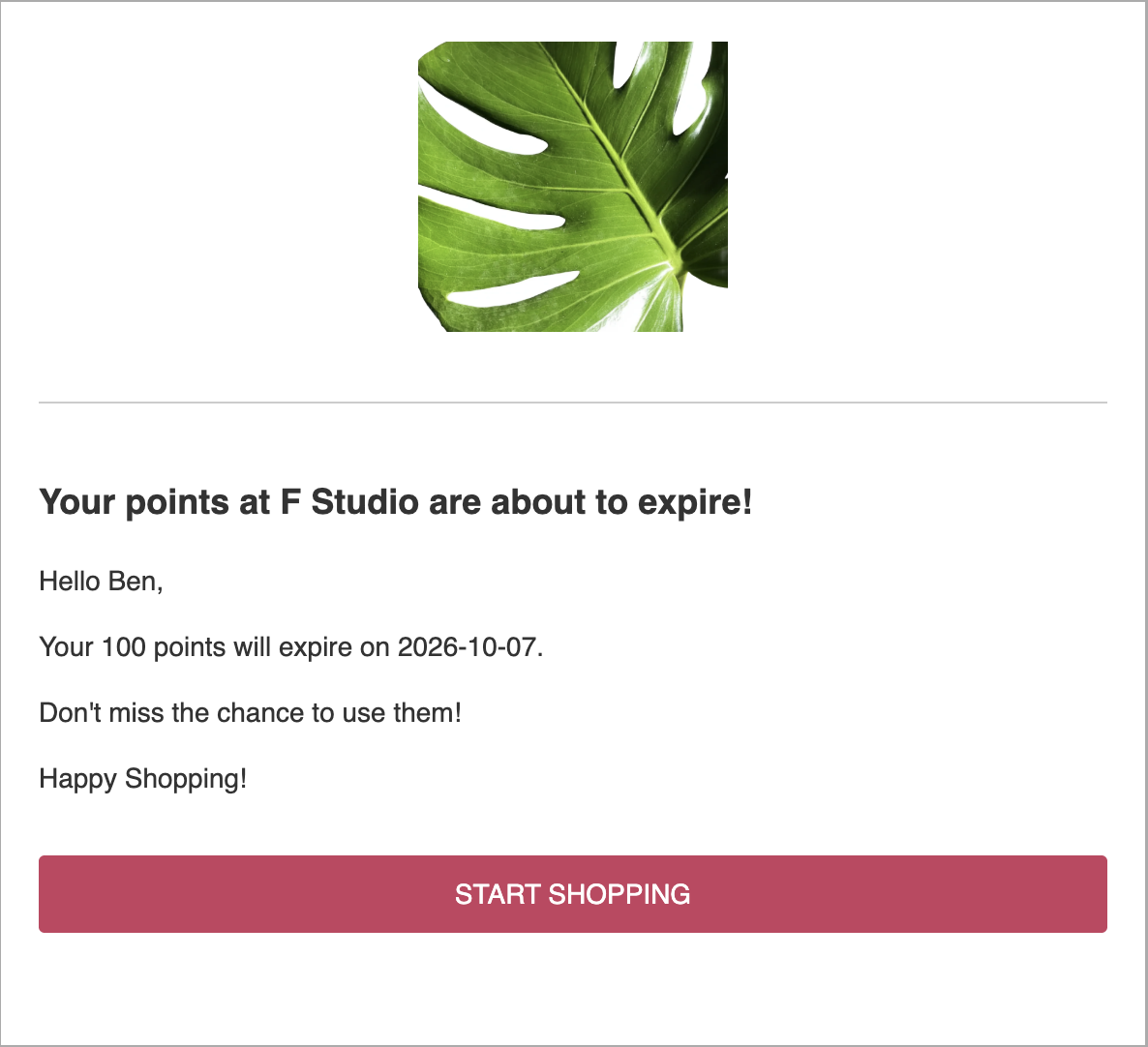 Desktop view of the point expiration notification email