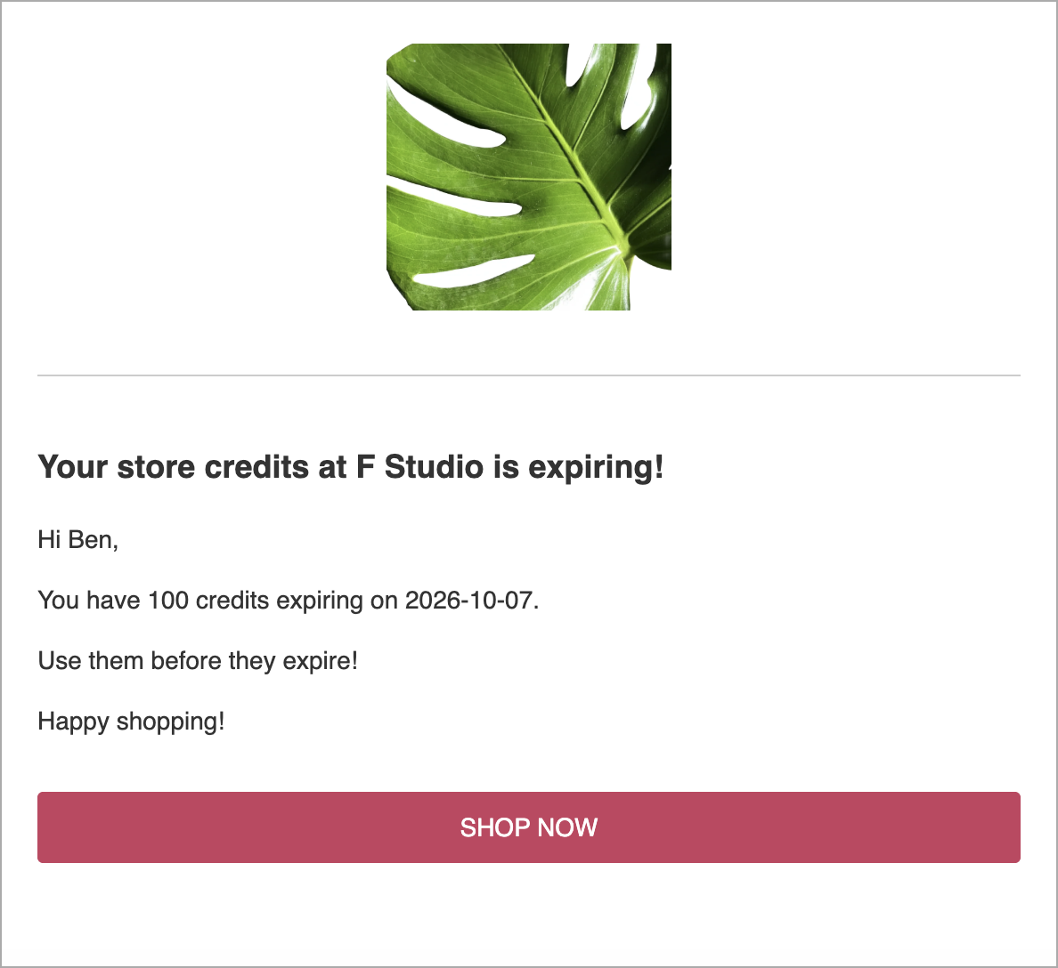 Desktop view of the store credit expiration notification email