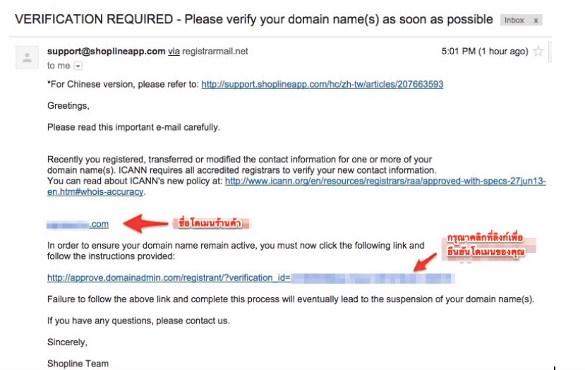 TH-customdomain-3.jpg